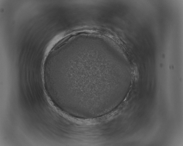 X0000070390006200606231749