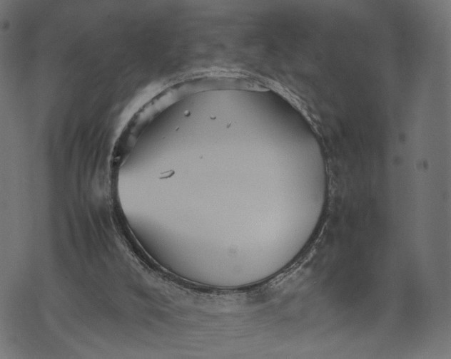 X0000070390008200606231749