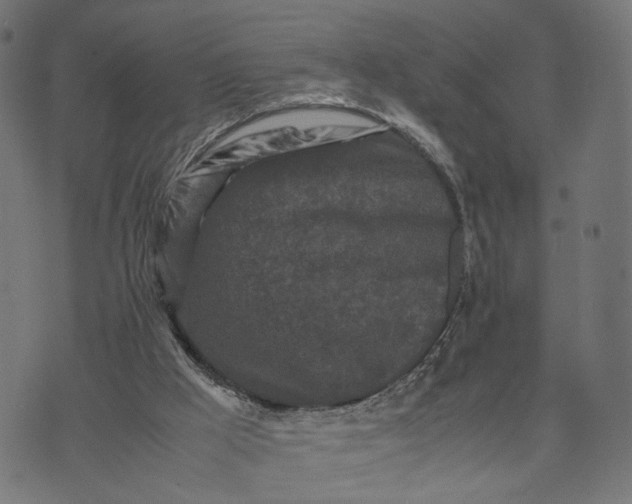 X0000070390009200606231749