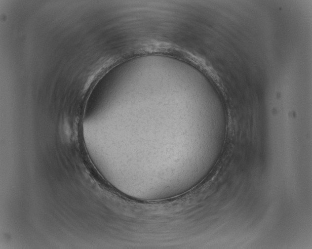 X0000070390010200606231749