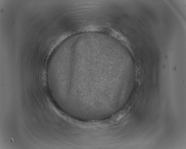 X0000070390012200606231749