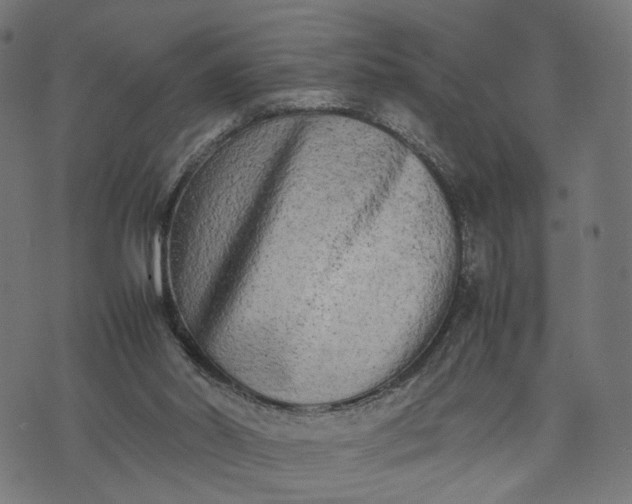 X0000070390014200606231749