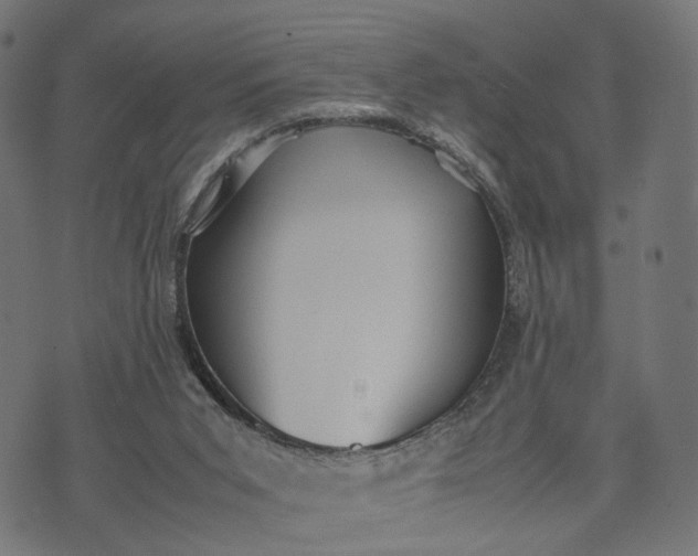 X0000070390015200606231749