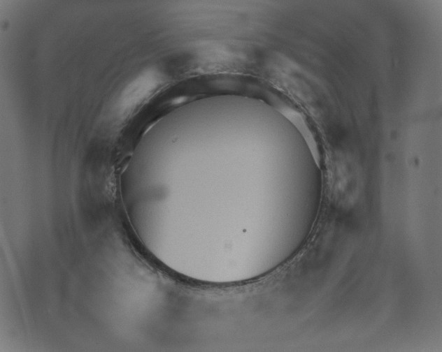 X0000070390017200606231749