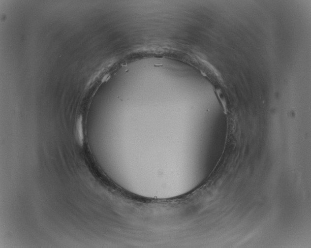 X0000070390020200606231749