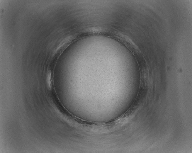 X0000070390024200606231749