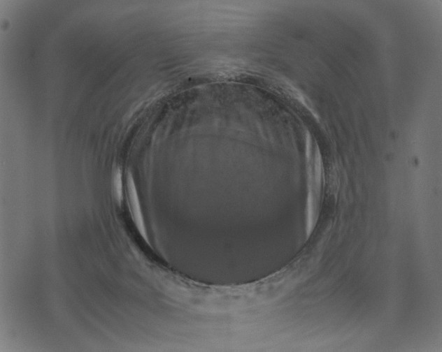 X0000070390027200606231749