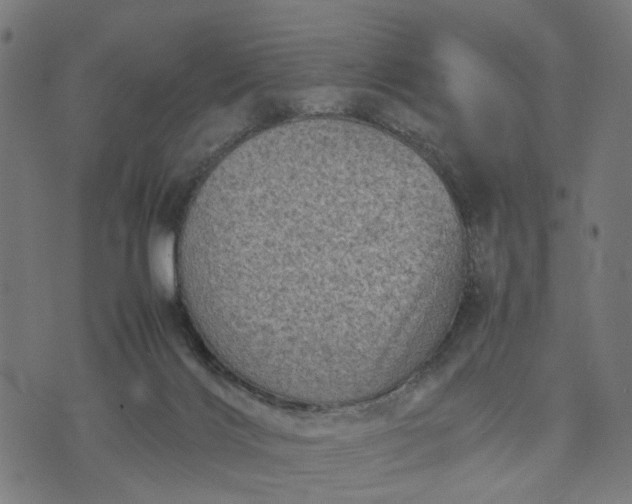 X0000070390028200606231749