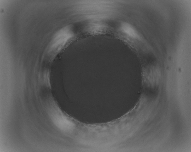 X0000070390029200606231749