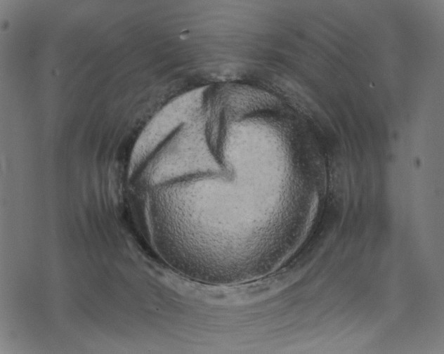 X0000070390030200606231748