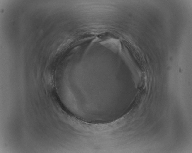 X0000070390031200606231748