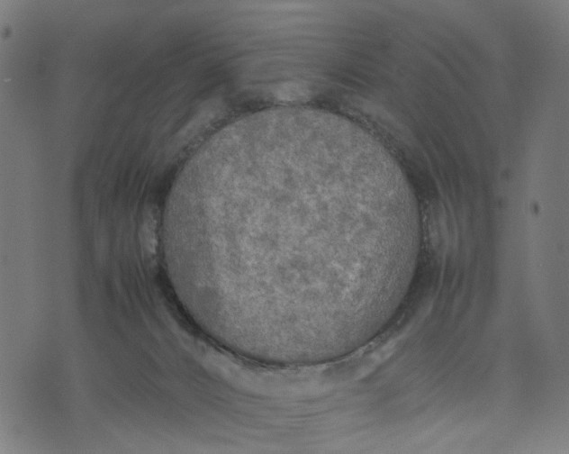 X0000070390032200606231748