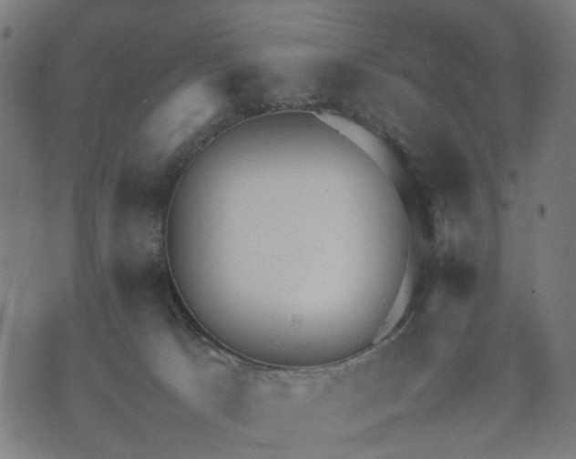 X0000070390033200606231748