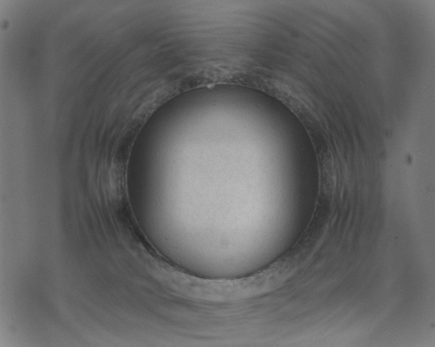 X0000070390034200606231748