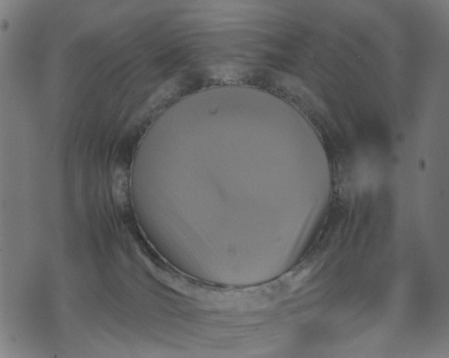 X0000070390036200606231748