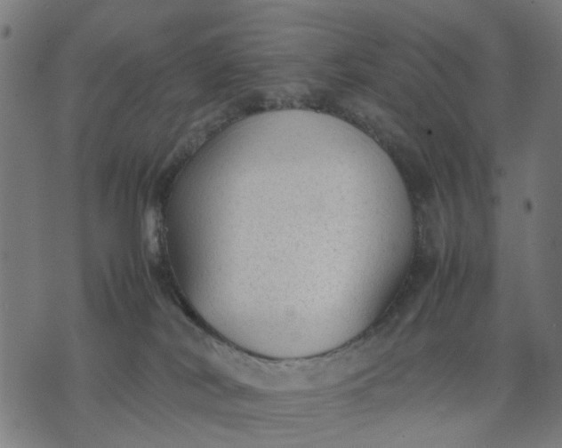 X0000070390038200606231748