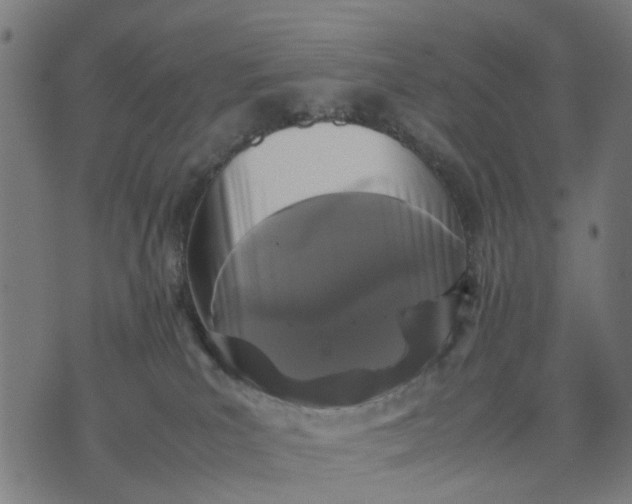 X0000070390039200606231748