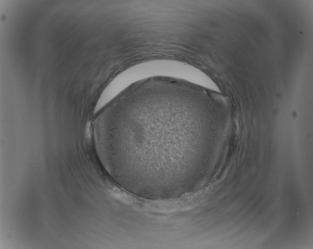 X0000070390041200606231748