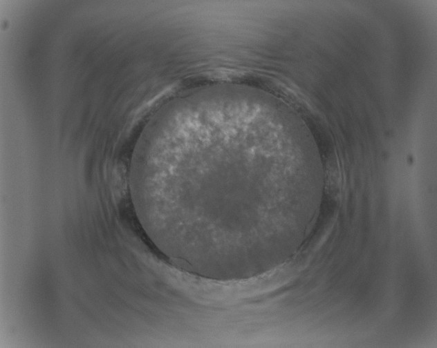 X0000070390043200606231748