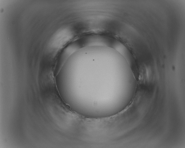 X0000070390045200606231748