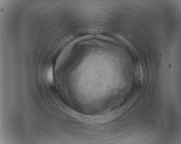 X0000070390046200606231748