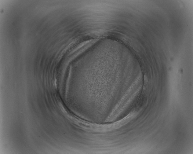 X0000070390048200606231748