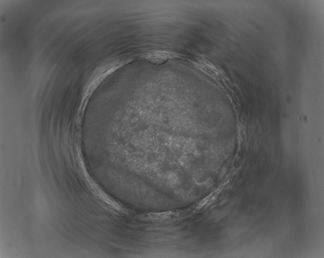 X0000070390049200606231747