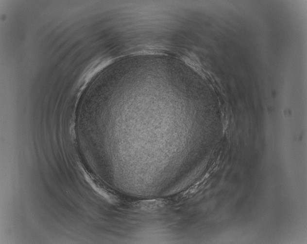 X0000070390050200606231747