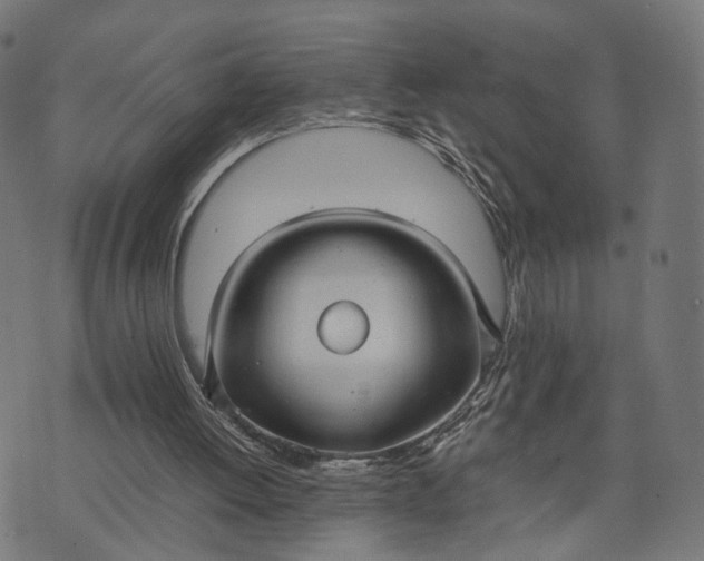 X0000070390052200606231747