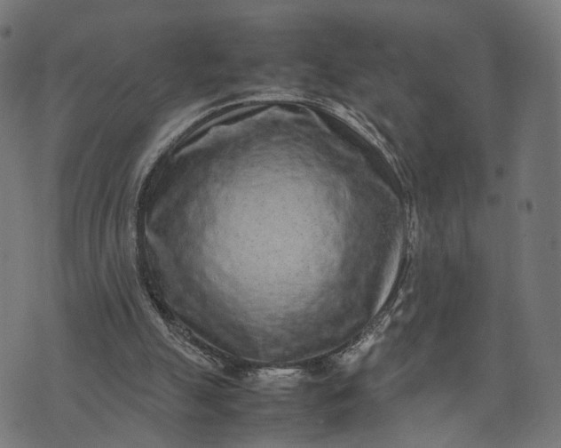 X0000070390055200606231748