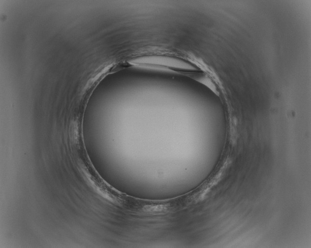 X0000070390057200606231748