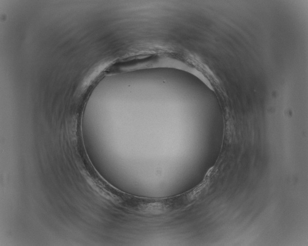 X0000070390058200606231748