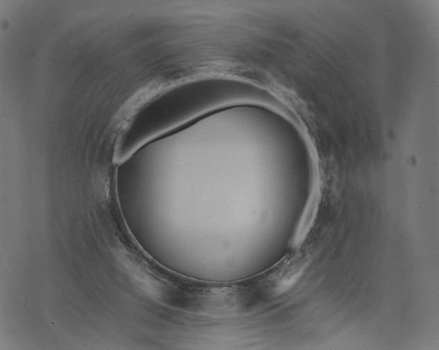 X0000070390060200606231748