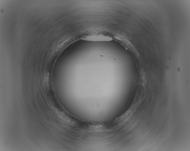 X0000070390066200606231748