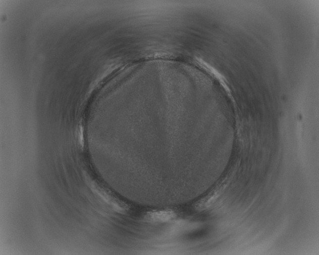 X0000070390067200606231748