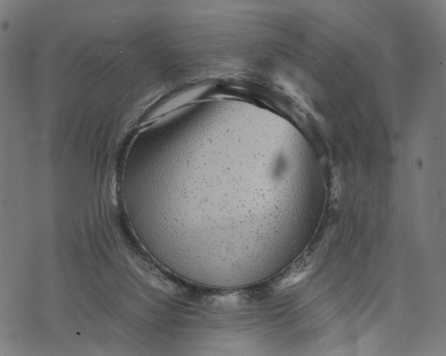 X0000070390068200606231748