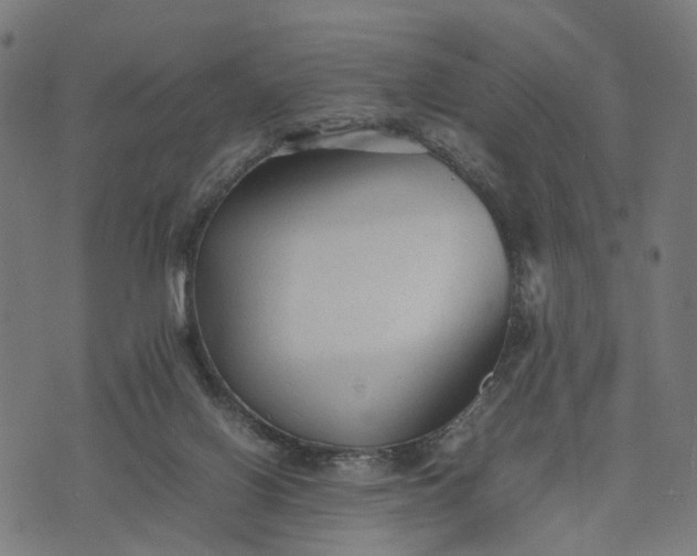 X0000070390070200606231748