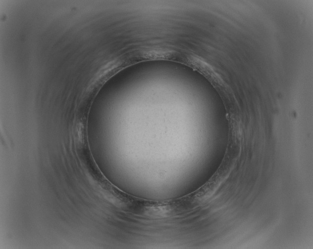 X0000070390071200606231748