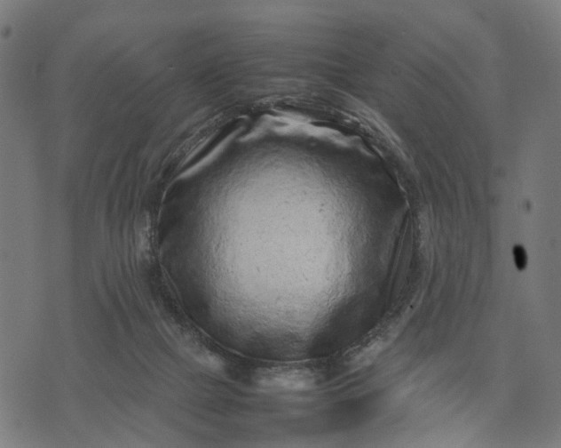 X0000070390073200606231748