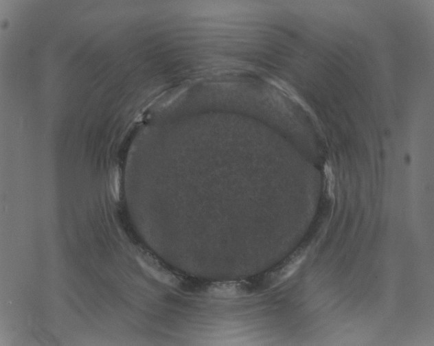 X0000070390076200606231748