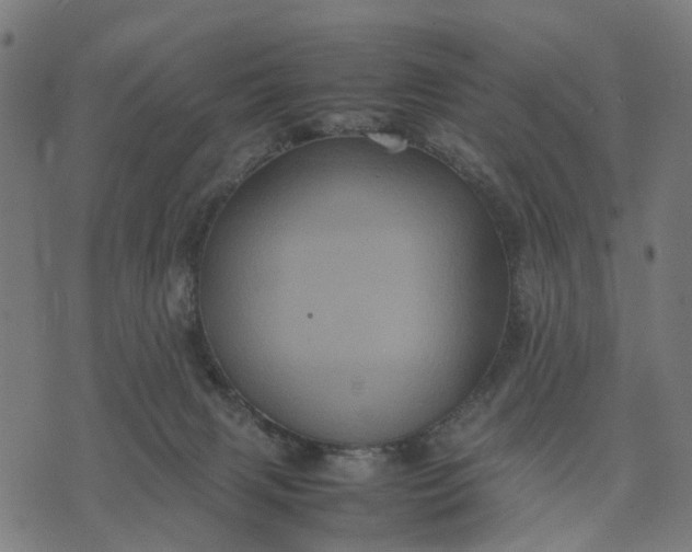 X0000070390079200606231748