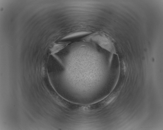 X0000070390080200606231748