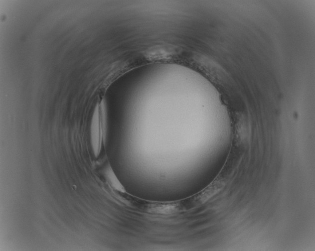 X0000070390081200606231748