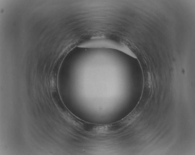 X0000070390084200606231748