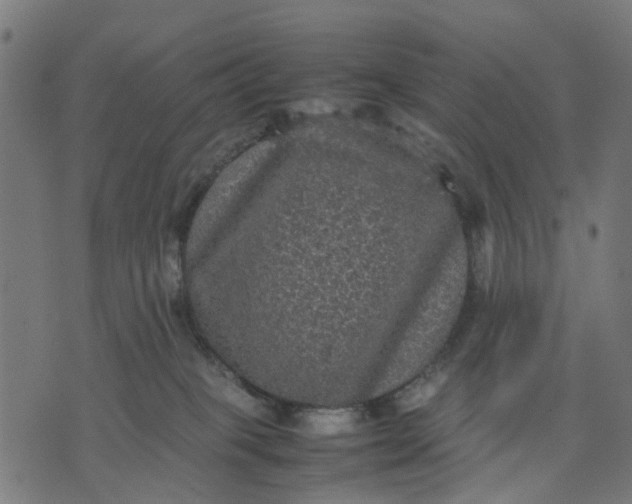 X0000070390085200606231748