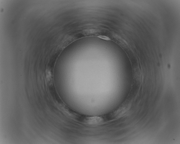 X0000070390087200606231748