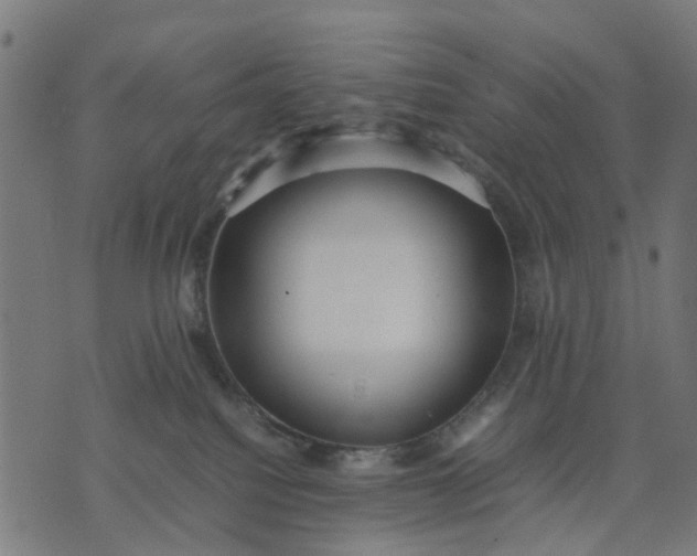 X0000070390088200606231748