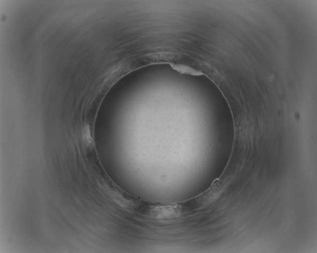 X0000070390089200606231748