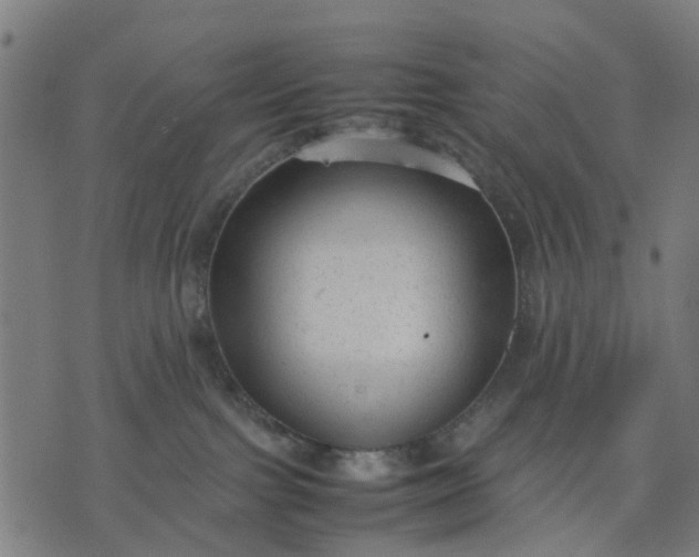 X0000070390091200606231748