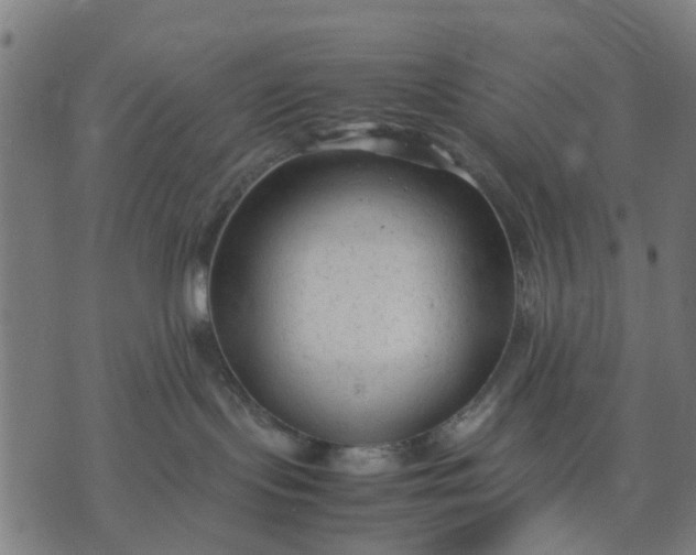 X0000070390095200606231748